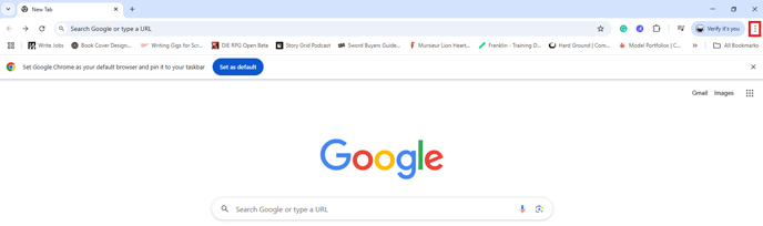 Google Chrome Cookies 1